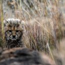 백련검도관 이미지