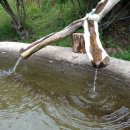 강원샘물 이미지