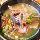 원조언양옛날곰탕 | 언양 맛집 : 줄서서먹는 알프스시장 원조옛날곰탕