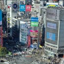 일과1교차로 2 | [일본] 도쿄 여행 시부야 스카이 카페 추천 스크램블 교차로뷰 놀거리