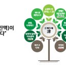 메디플러스약국 이미지