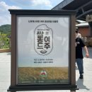 살롱드(salong de)홍 | 여주쌀, 세종대왕님도 반할 맛있는 쌀 브랜드 1위!(ft. 최강록 네오 막걸리)