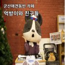 군산문화협동조합 로컬아이 | 군산 애견 동반 카페 먹방이와 친구들 근대화 거리
