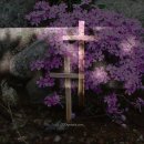 오포1동-16 이미지