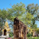 경이농장 이미지