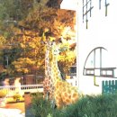 대자연유치원 이미지