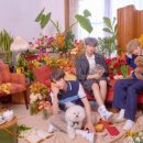 모아 dog 이미지