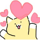 청주고양이입양지원센터 애니멀공화국 이미지