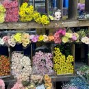 주식회사 아트만 이미지