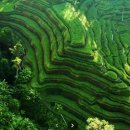 씨링크전자(주) | 발리-퍼스 여행일정 및 준비(25.1~2)-우붓 퍼스 호텔 비교 예약, 항공권, 노버드 렌트, 쿼카섬, 로얄...