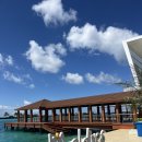 신도농업협동조합 | W35. 팜투어 신혼여행 달러잔금 결제 팁 : ‘카카오뱅크 달러박스’ 이용 후기