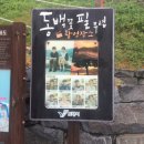 동백 유기농원 네이버블로그