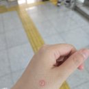 복대1동 행정복지센터 이미지