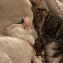 퇴계원로 46번길 이미지