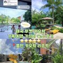 31140-8-46-7 | 7살9살 아이랑 푸켓 카오락 풀만 리조트 가성비 숙소 체크인 후기, 1박 7만원대!