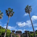 중산간동로 ↔ 일주동로 | [제주] 아이와 제주도 패스권 투어패스 48시간 일정 추천 -1 (카트 카페 액트몬 유람선 족욕)