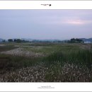 소래습지생태공원 이미지
