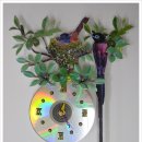 [리폼]벽걸이시계...삼광조(긴꼬리딱새) 육추 이미지