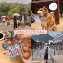 세븐일레븐 행담도휴게소(상)점 | 일본여행 후쿠오카 유후인 투어 소소버스투어 내돈내산 후기