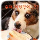 펀비어킹 이미지
