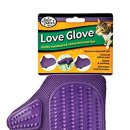 그루밍쇼 이미지