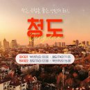 청도여행사