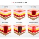 고양센트럴요양병원 이미지