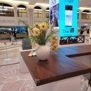 신세계 강남 고터 투미(TUMI) 팝업스토어 후기: 레몬 샤베트와 티코스터 체험까지!