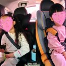 토토김밥 | 고마워토토 광교점 튤립 호텔 오픈! 흙놀이 + 씨앗 삼각김밥 후기