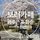 유천길 | 광주근교 벚꽃구경 화순 감성카페 [보러카페] 방문 후기｜외부 내부 분위기 + 메뉴 총정리