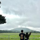 방주목장 | 갬성 낭낭 제주도 서쪽여행 기록