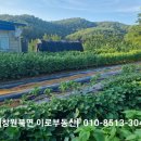 대산리 화장실 네이버블로그