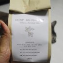 일리그루밍 이미지