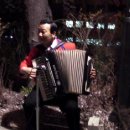 남산 벚꽃춪제 아코디언연주 동영상 이미지