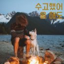 주식회사 펫과의 동행 이미지