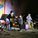 태권TREE 이미지