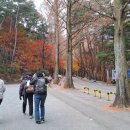 왕궁농업협동조합 이미지