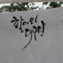 개발새발 이미지