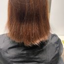 스타3급부분정비 | 운정스타필드빌리지 프리미엄이가자 운정역 미용실 추천 프로케어 프로그램으로 손상모 클리닉 받은 후기