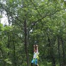 배울초등학교 이미지