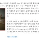 일성정