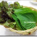 일차횟집 이미지