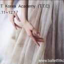 (상반기)발레핏 이미지