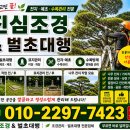 경기도 안성시 보개면사무소 | 경기도 안성 보개면 주말주택 제초작업 제초제살포 수목소독까지 조경관리