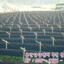 금산인삼센타 - 당진시 당진중앙3로 98 | 금산인삼센타