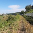 남천제방길 이미지