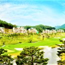 펠리체인터내셔널주