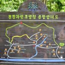 봉황자연휴양림 이미지