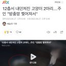 12층서 내던져진 고양이 2마리…주인 "방충망 찢어져서" 이미지