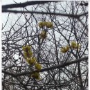 이명은 농장 이미지